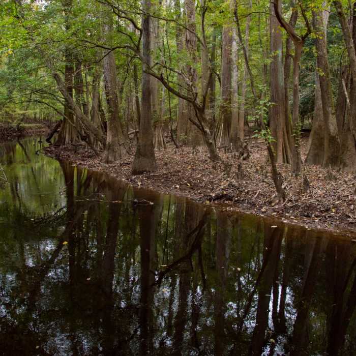 Near Weston Lake Loop Near Weston Lake Loop