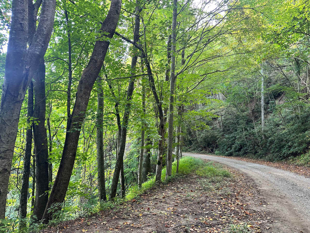 Slickrock Road photo 4