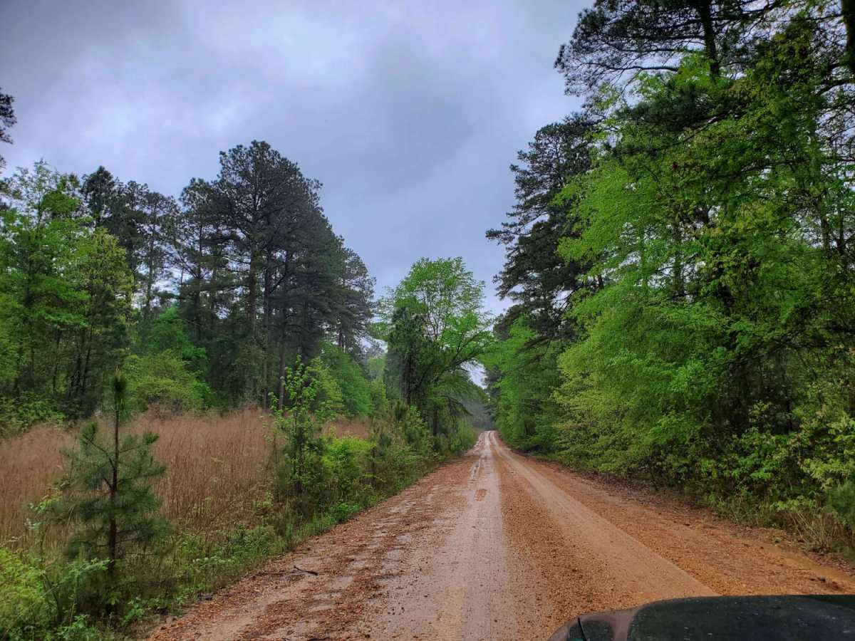 The Arkansas Overland Route - Section 7 - Treck Along Ouachita Road photo 4