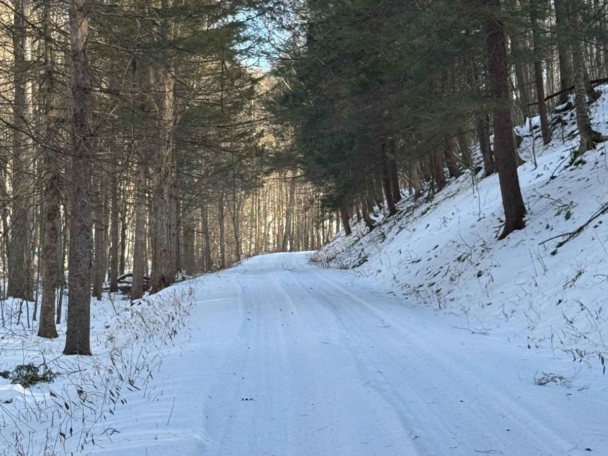 Upper Pleasant Stream Road photo 5