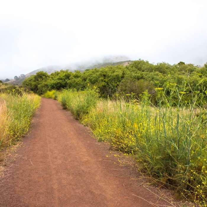 Near Rodeo Valley Trail to Miwok Trail Loop