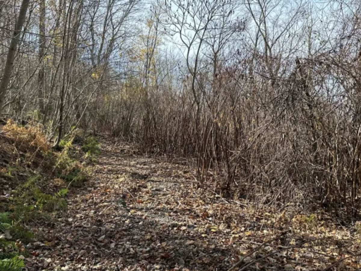 Ashland 158 photo 2