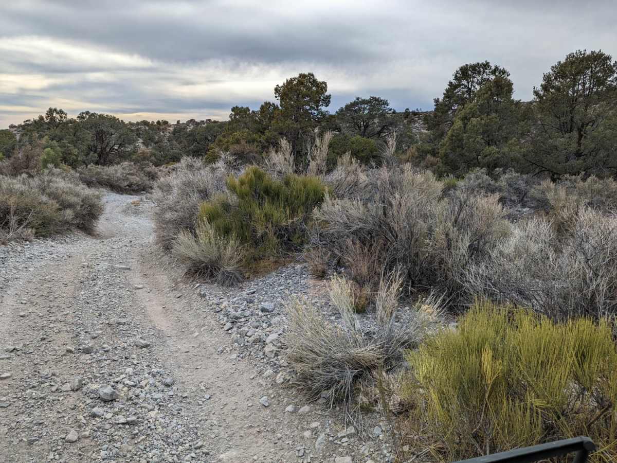 Loop Boundary Road photo 3