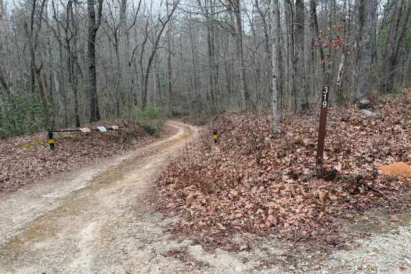 Silly Cook Mountain - FS 319