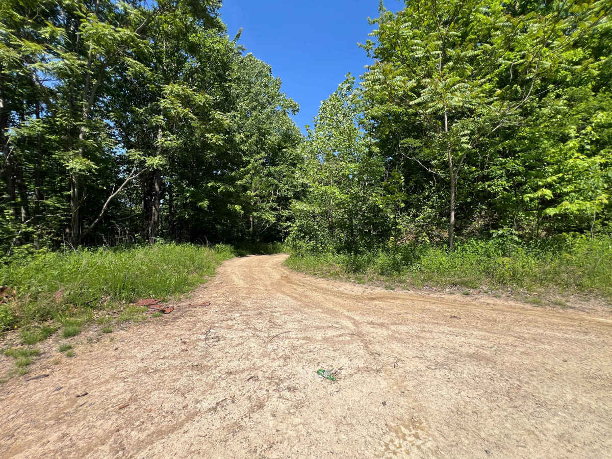 KC17 trail photo