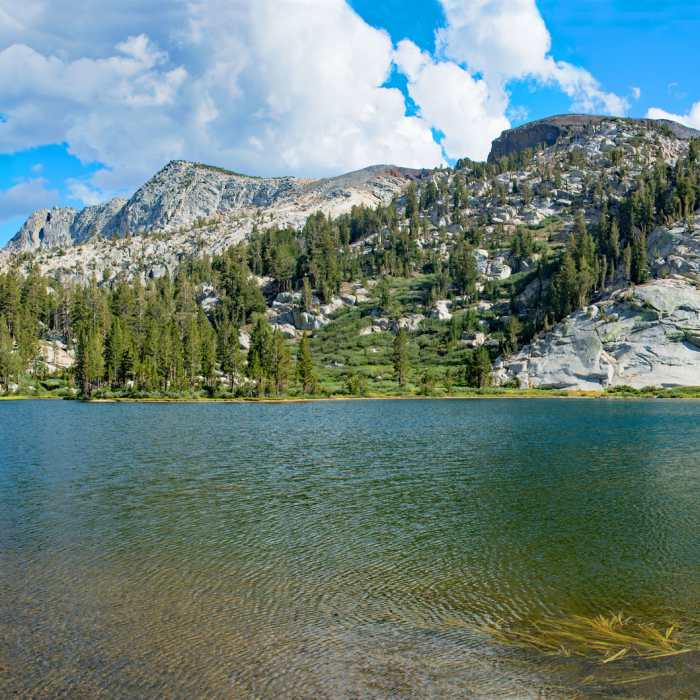 Frog Lake Near Margaret Lakes Trail #26E03