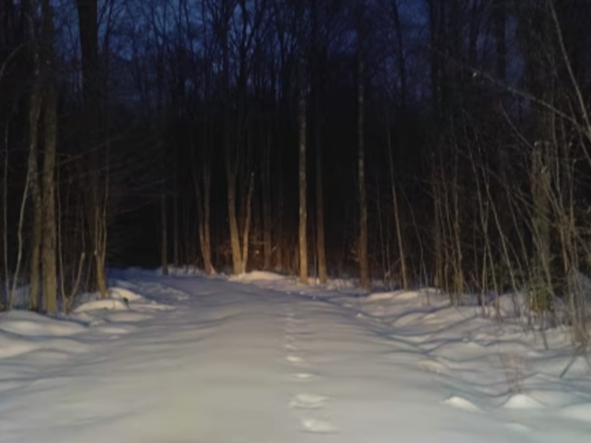 Laurel Run - FS 166 photo 3