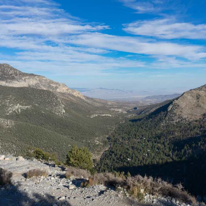 Near Cathedral Rock Trail