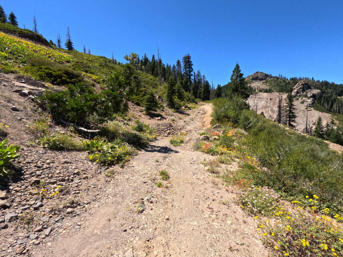 Fir Cap Trail - North Segment - 10E22 photo 4