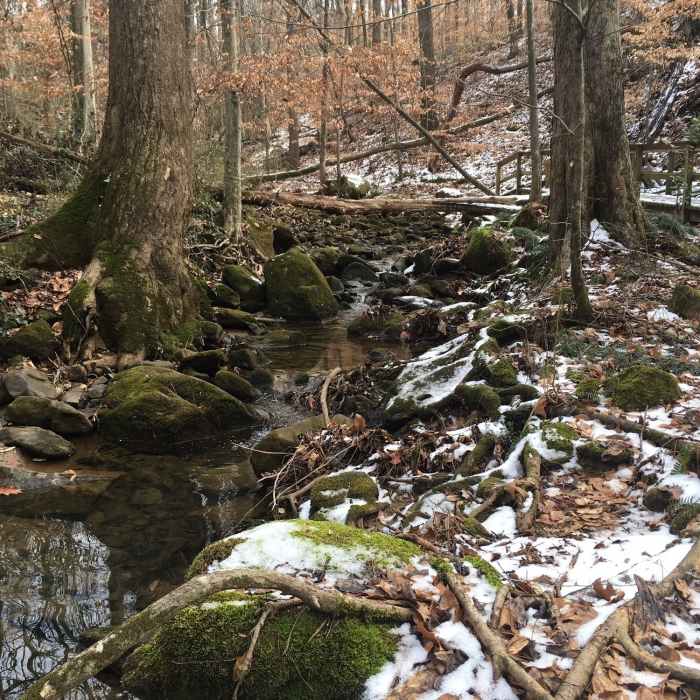 Trail next to scenic stream, just before cascade. Near Cascade Springs Nature Preserve Loop