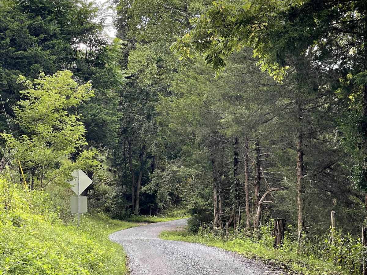 Lapsley Run trail photo