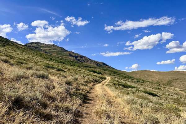 Winters Creek - FS 56135
