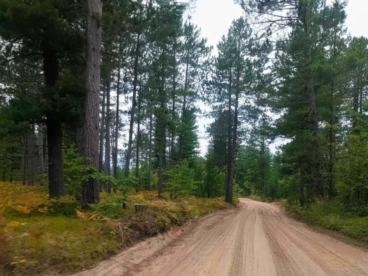 Vermillion Road photo 5