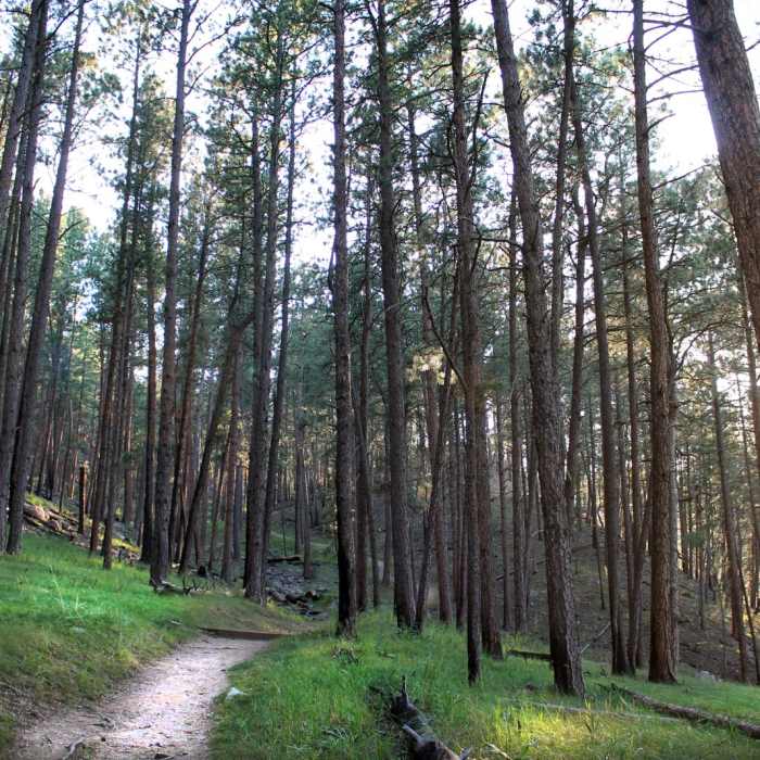 Near Lover's Leap Trail