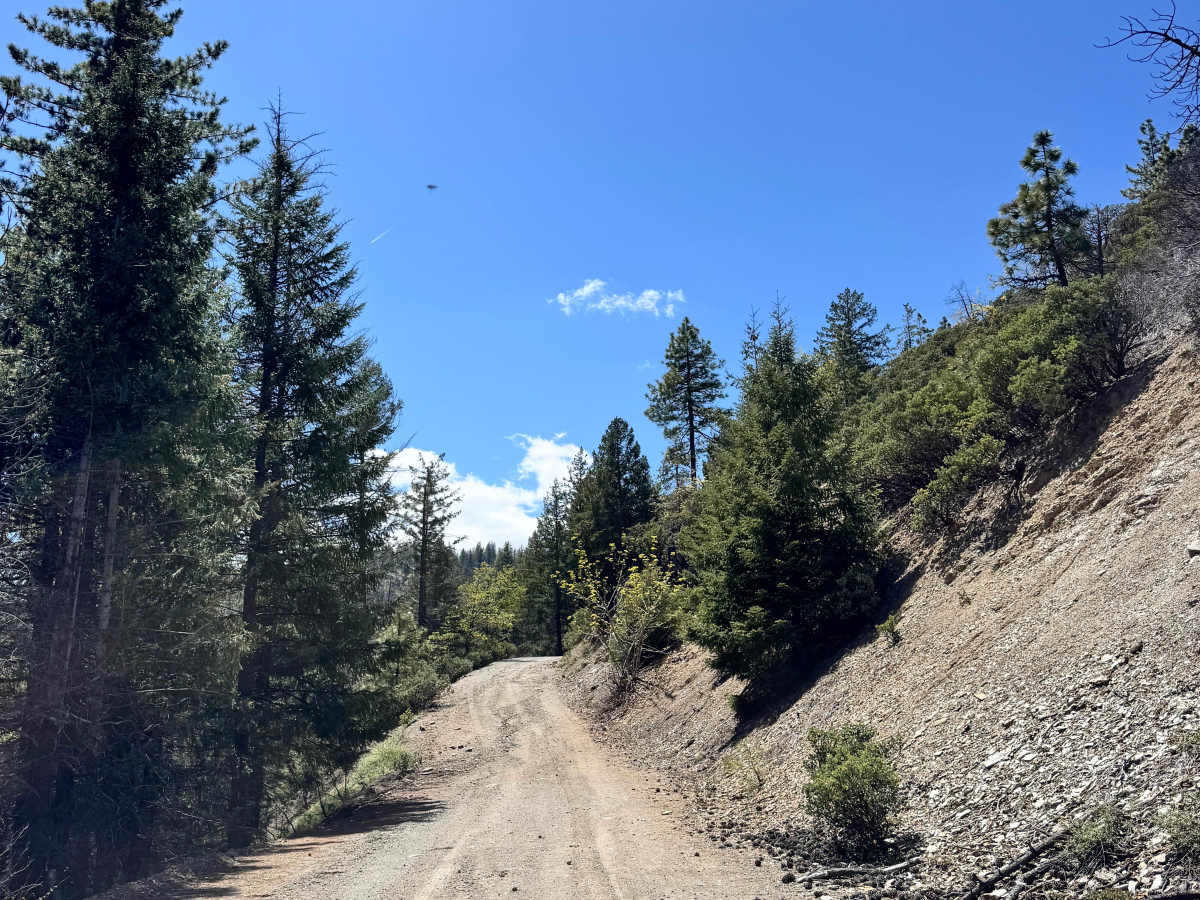 Road 311 photo 2