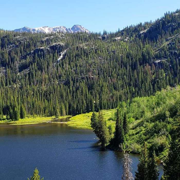 Near Lower Cataract Loop Trail