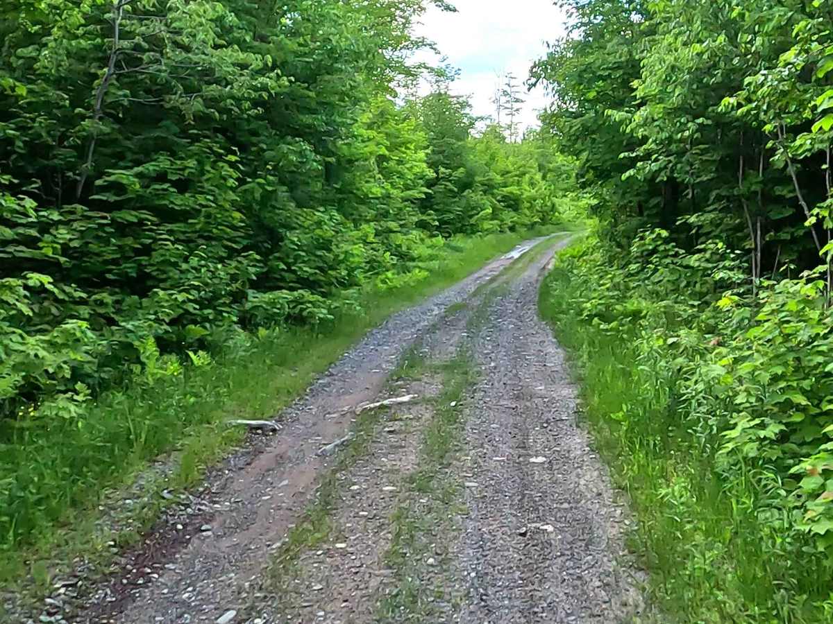 Celotex Road trail photo