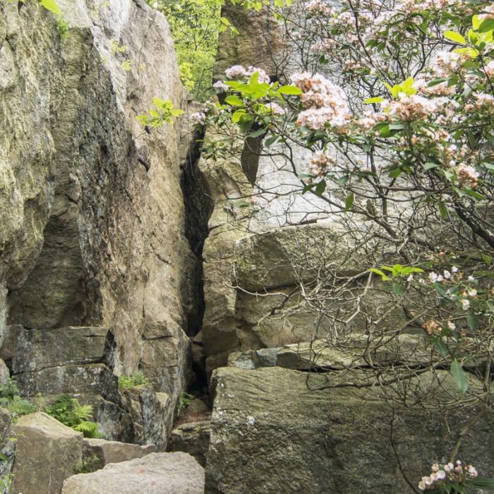 Near Labyrinth + Lemon Squeeze