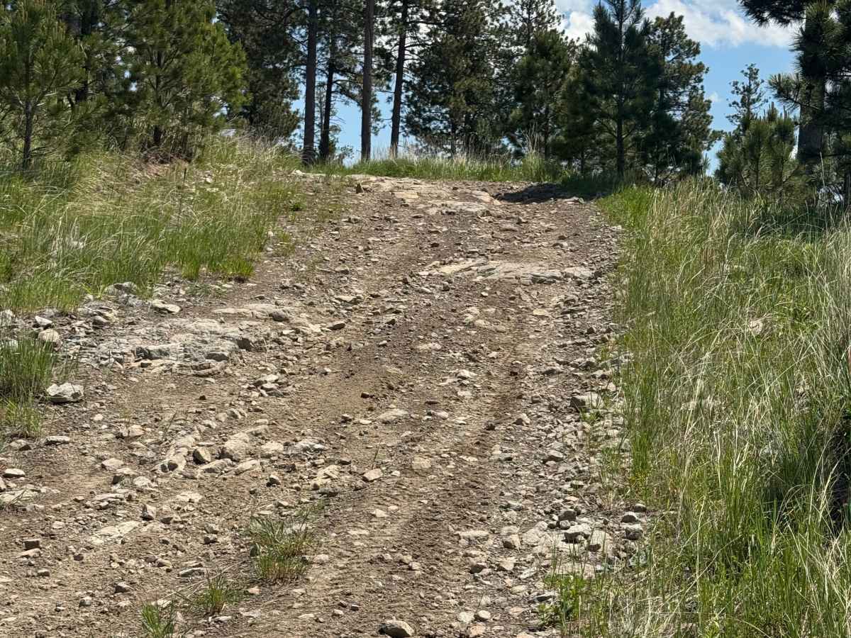 Forbes Gulch Br 1b - FSR 169.1B photo 3