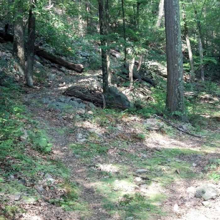 Near Brush Ridge Trail