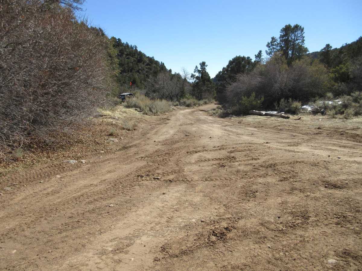 Cottonwood East photo 2