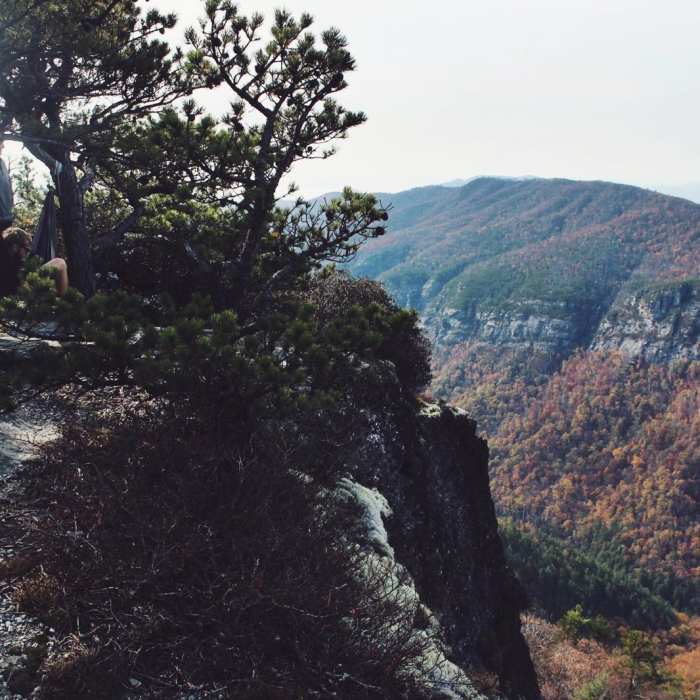 Near Table Rock near the Linville Gorge Wilderness Near Table Rock near the Linville Gorge Wilderness