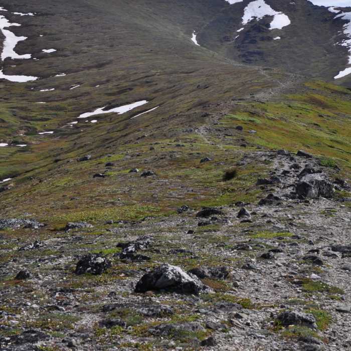 Near Wolverine Peak Trail