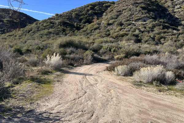 Old 3N49 Access Road