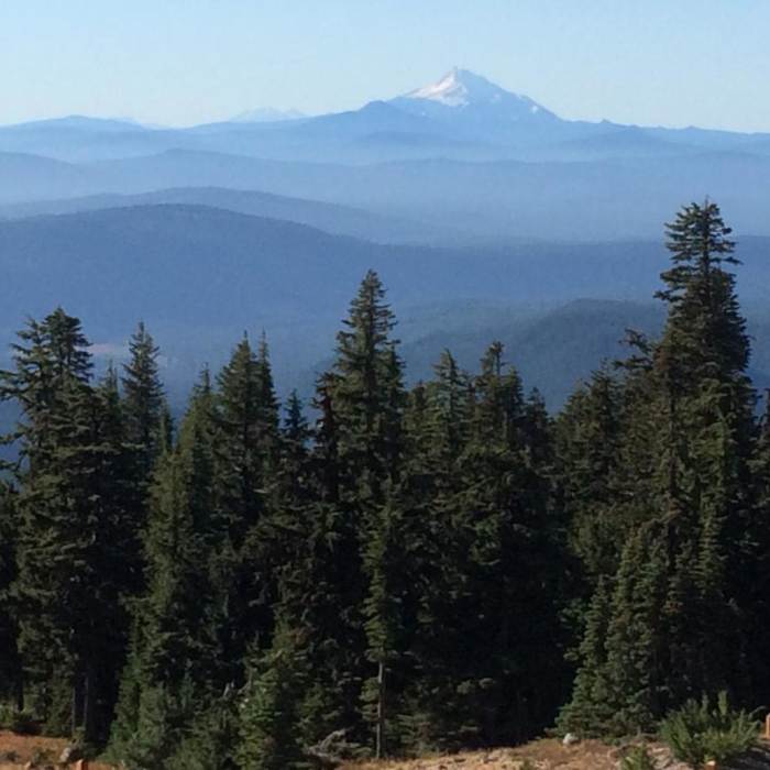 Near Mountaineer Loop Trail #798