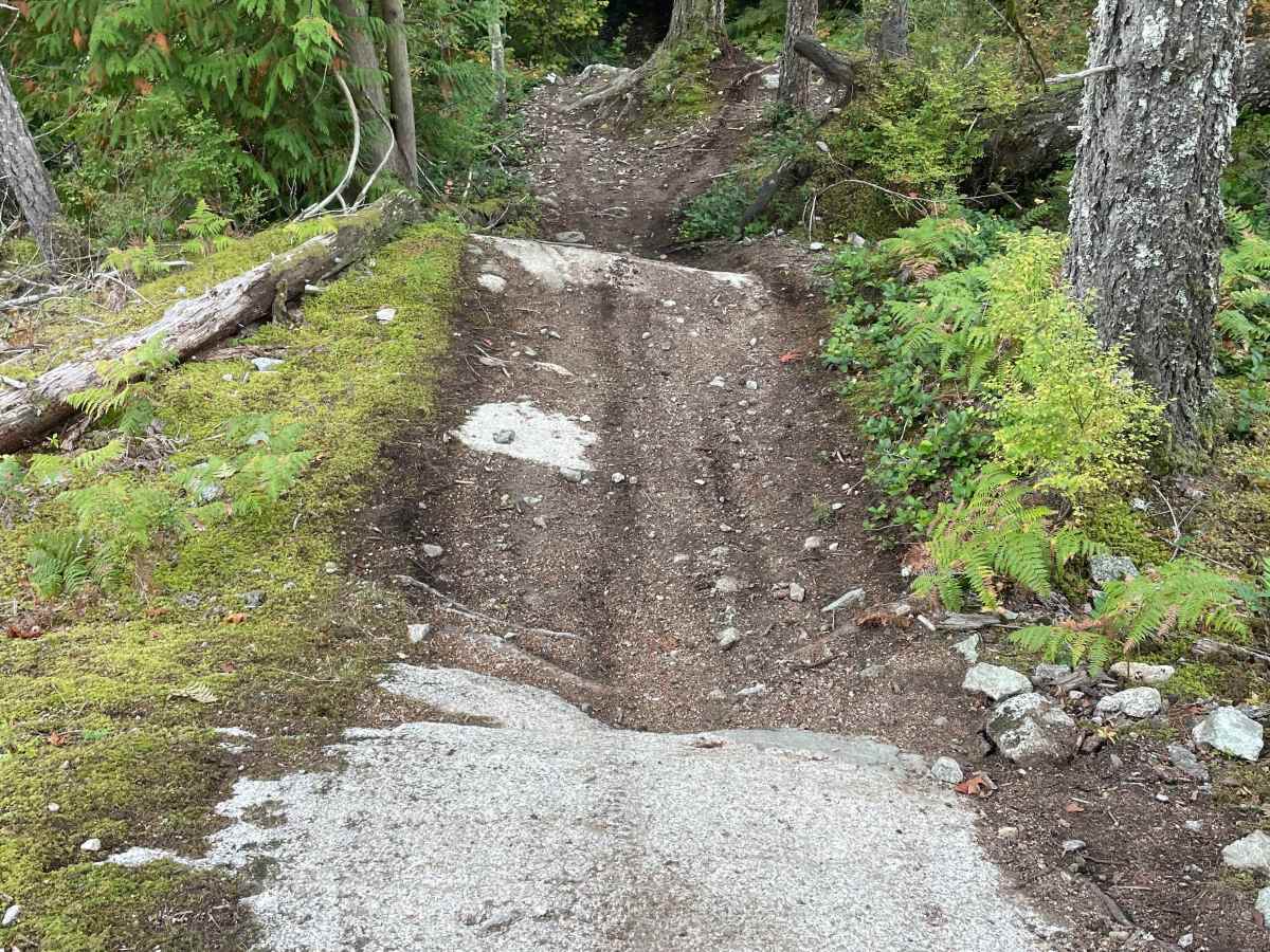 Wolf Trail photo 4