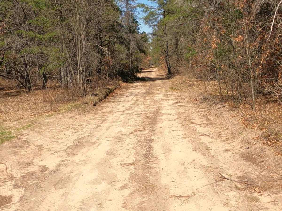 Smith Creek - FS 4779 photo 3