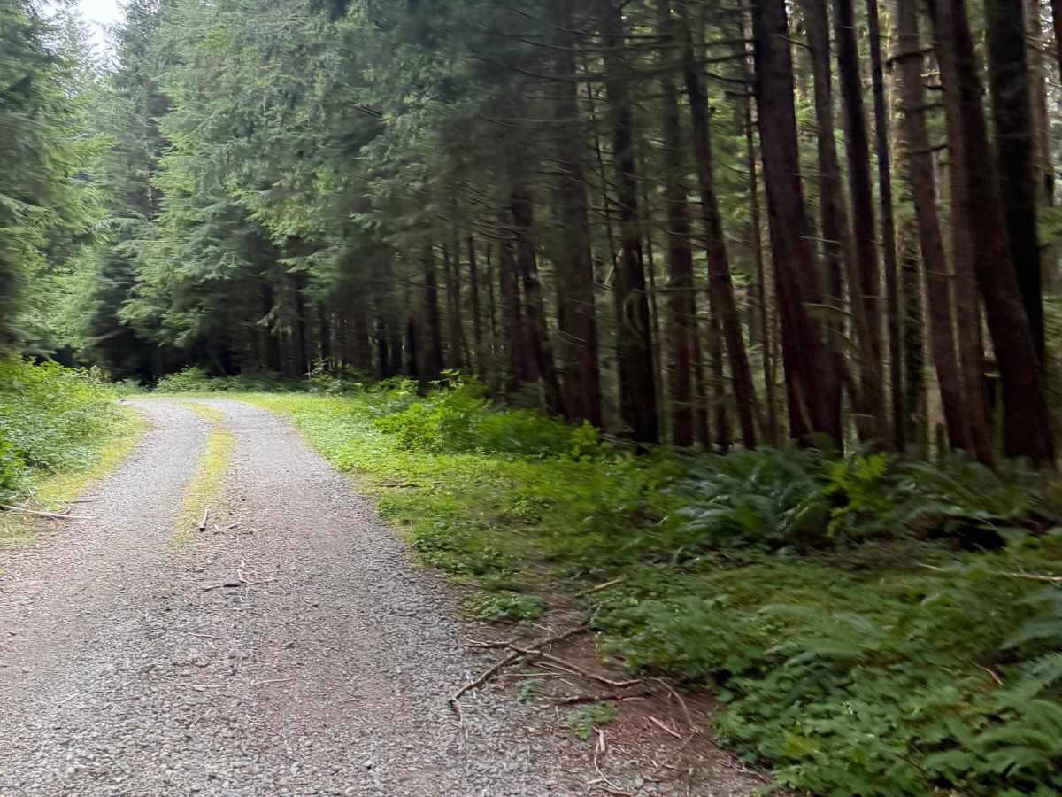 FS 2160 trail photo