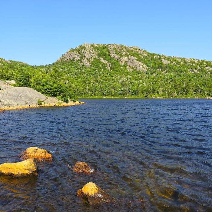 Loop Trail Near Tumbledown Mountain Out and Back