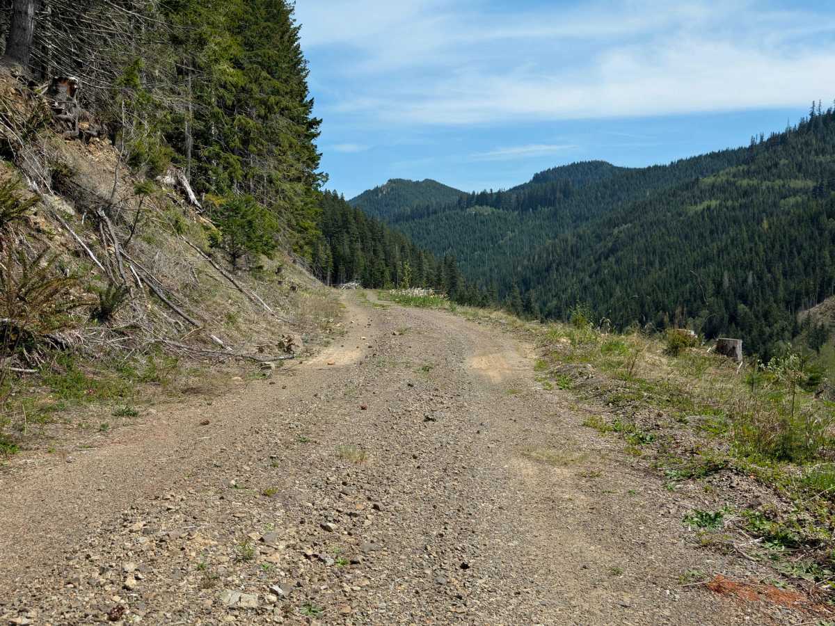 Jesse Creek photo 6