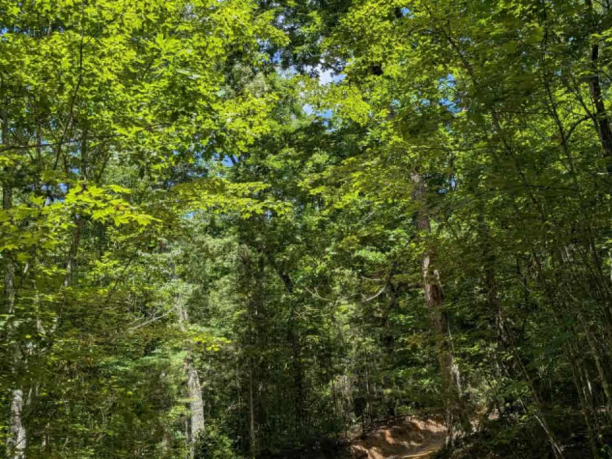 Brown Hollow Road photo 2
