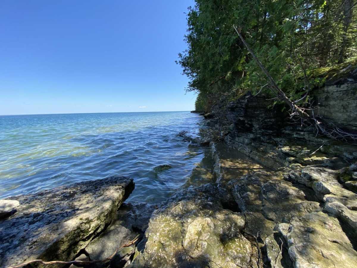 Fossil Ledge photo 5