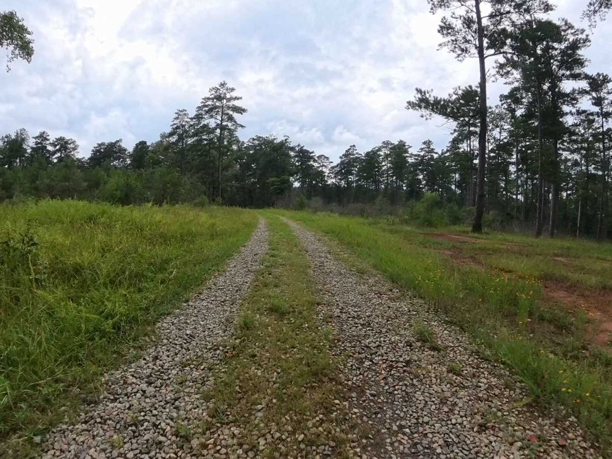 Chehaw - FS 1022 photo 5