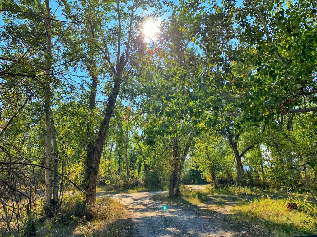 Pennal Gulch River Access trail photo