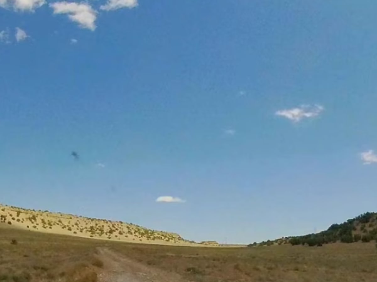 Buckhorn/Dragon Connector photo 3