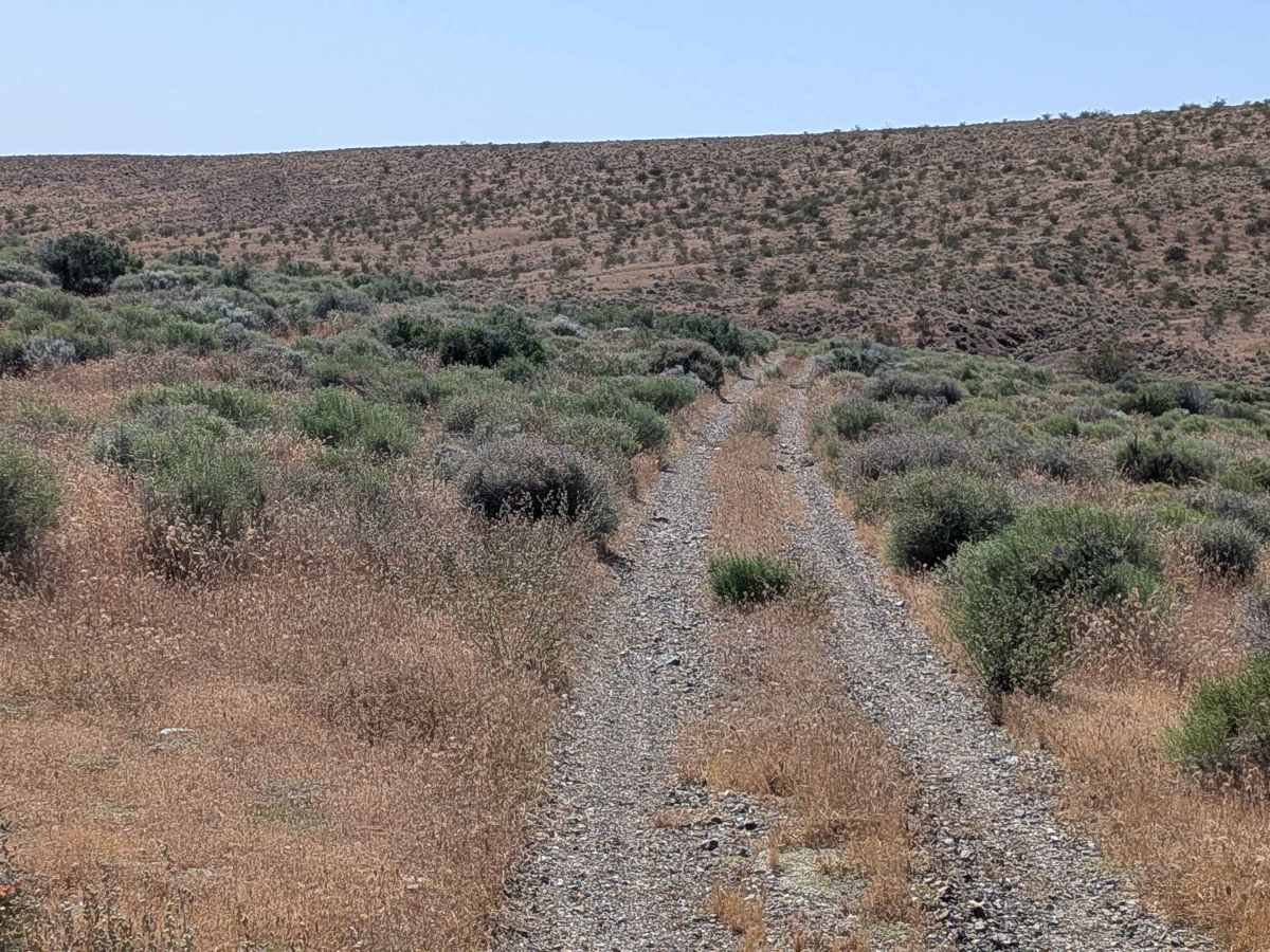 BLM EP132 photo 3