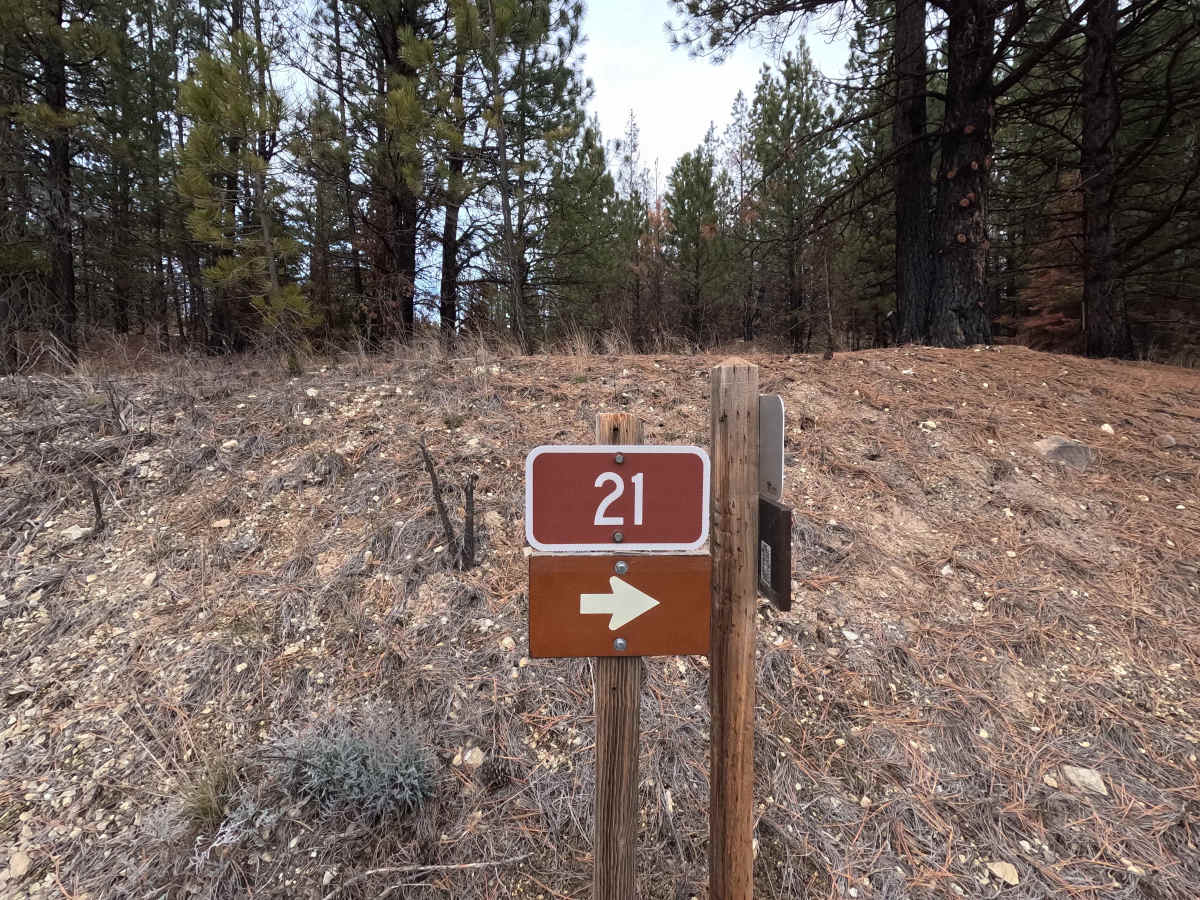 The Old Western Route - FS 21 trail photo