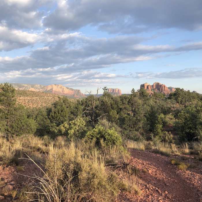 Was a little tricky in parts knowing where the trail was -- but thankfully it was easy enough to see it ahead, to improvise if/when you end up off it for a turn here and there! Not my normal terrain, but absolutely gorgeous and comfortable for a run! Near Herkenham Trail