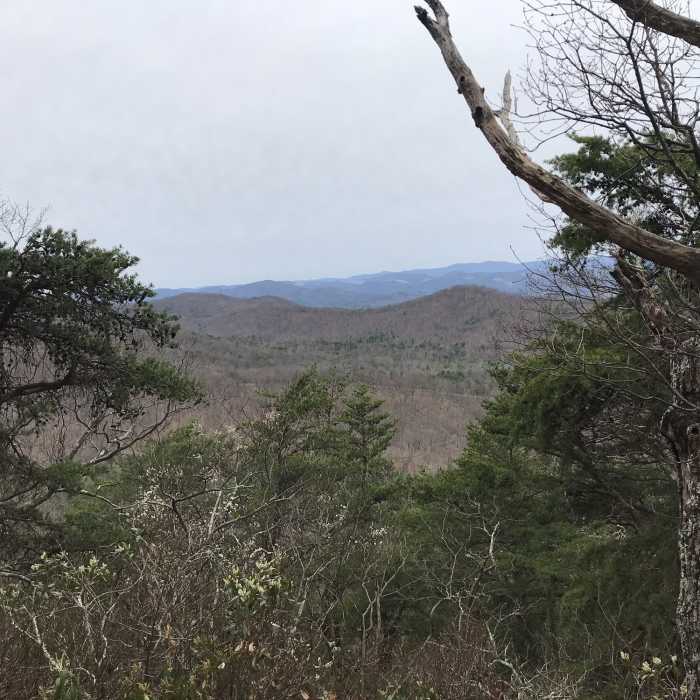 View southwest from the trail. Near Bother Ridge Trail #1026