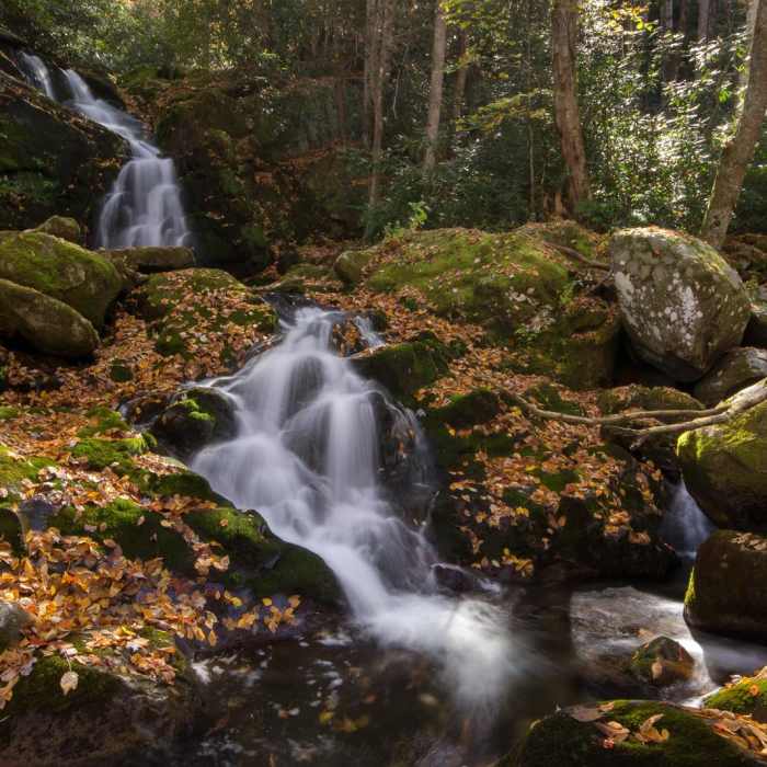 Near Big Creek Trail to Mouse Creek Falls Near Big Creek Trail to Mouse Creek Falls