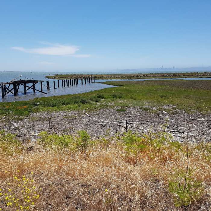 Near Richmond Marina Bay Trail