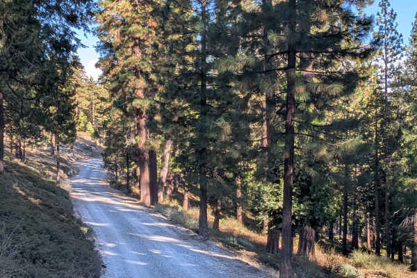 Fraser Flat Road East - FS 4N01