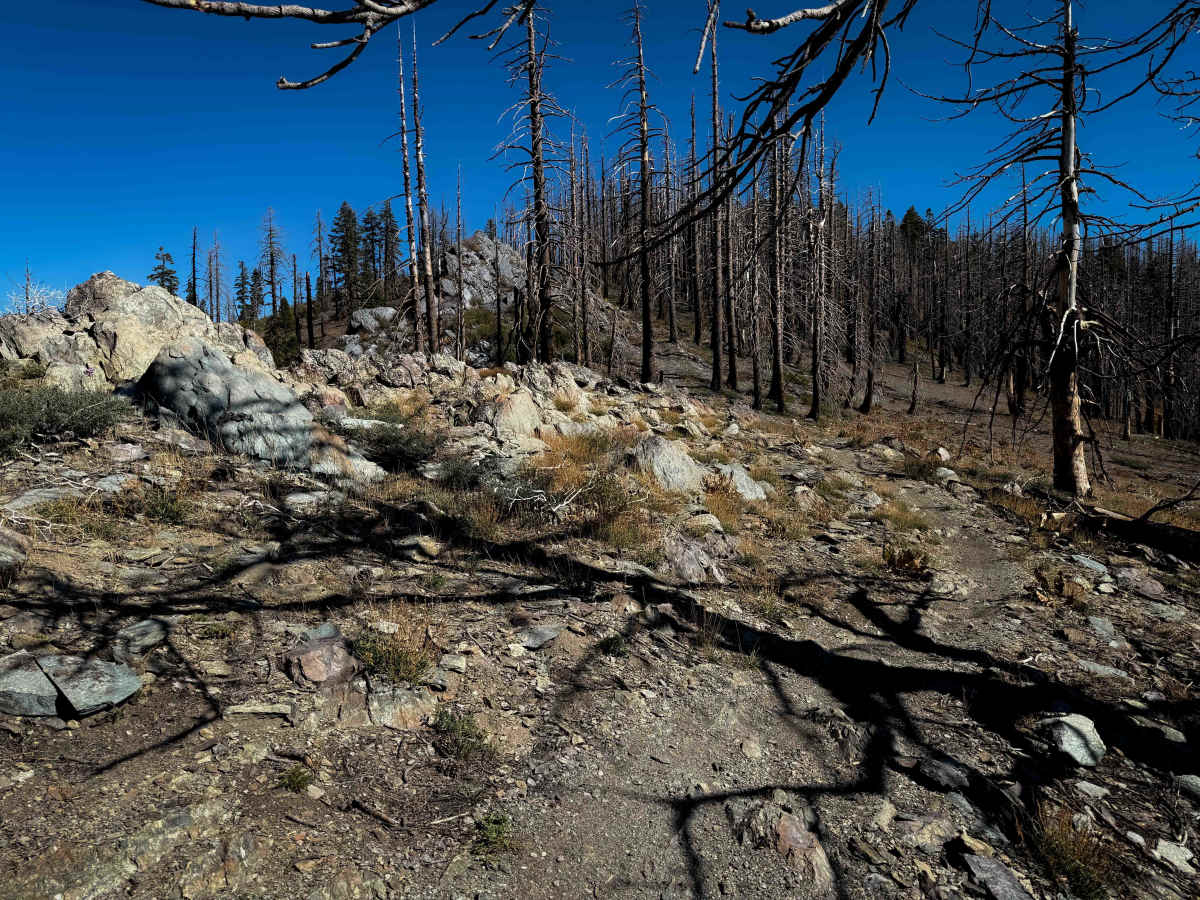Indian Falls Ridge  photo 3
