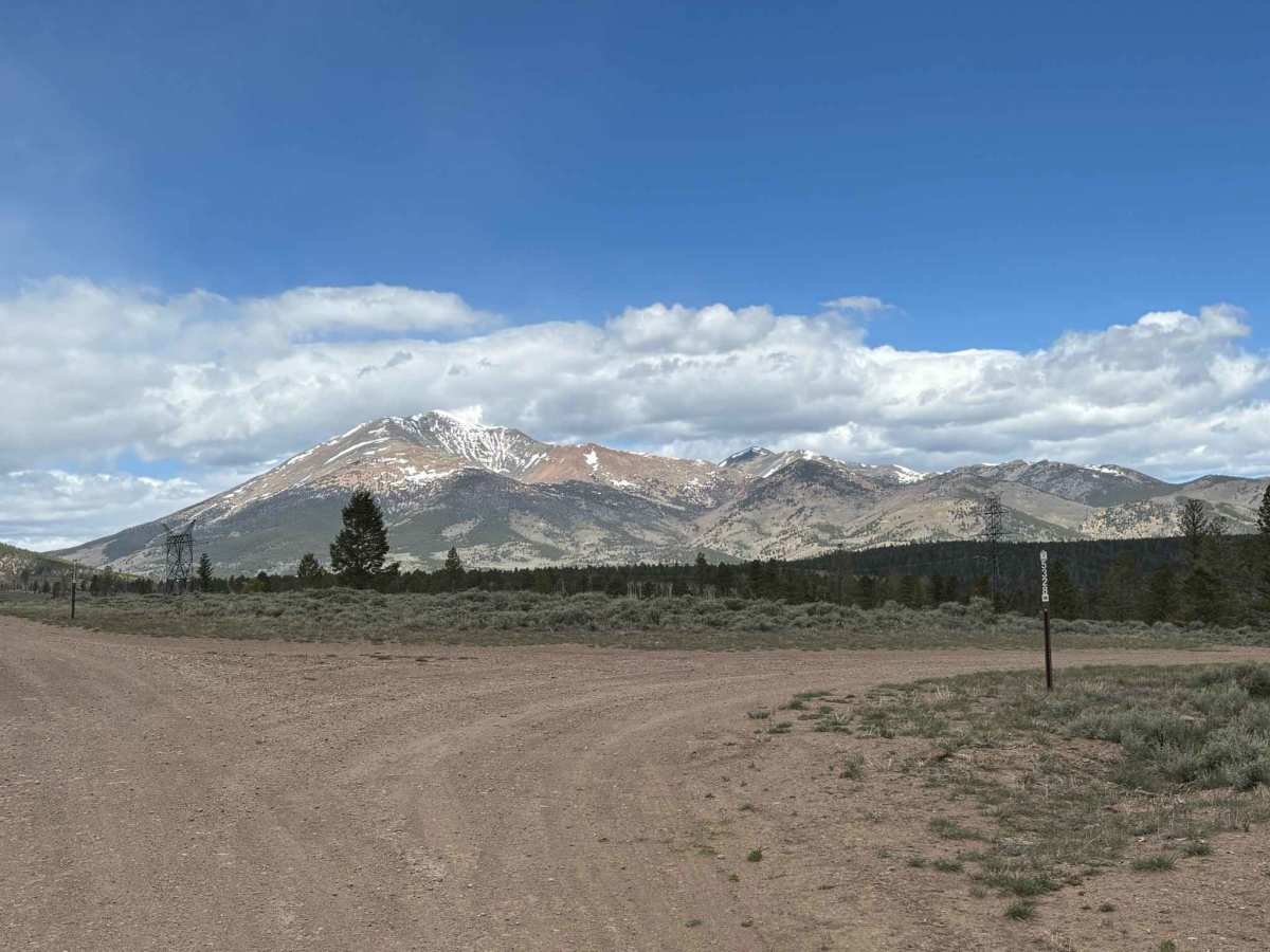 Shirley Road trail photo