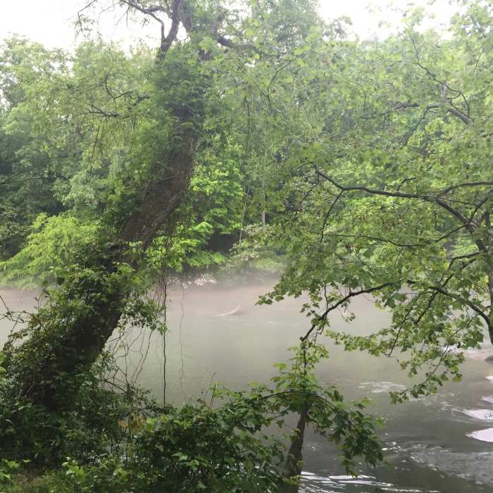 Meeting back up at the river on the South end. Near Jones Bridge Loop