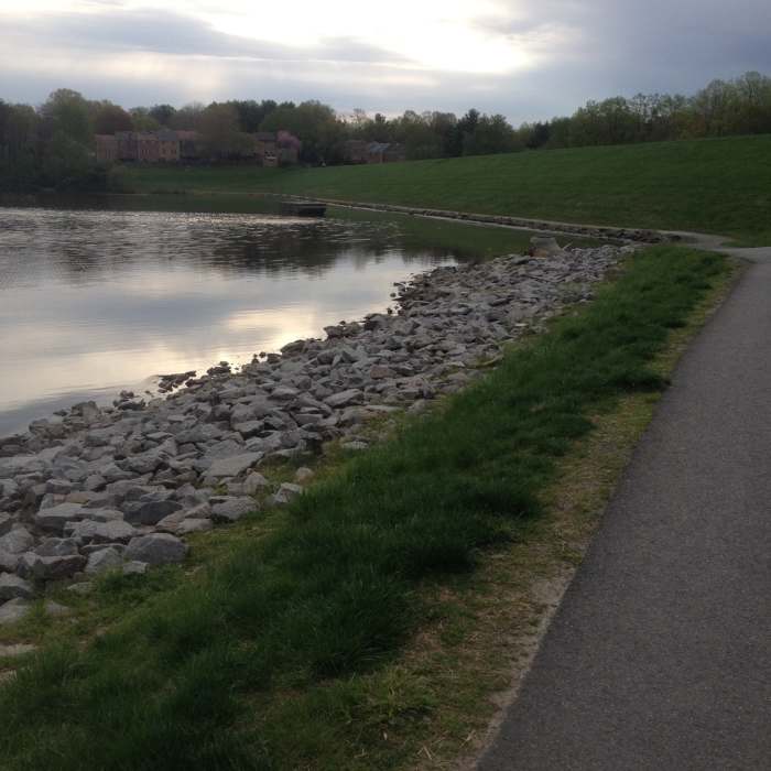 Near Ronald Craven Trail